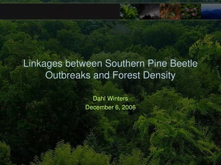 linkages between southern pine beetle outbreaks and forest density
