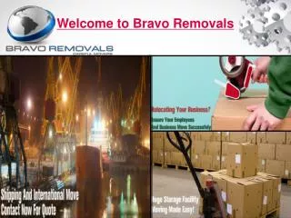 Welcome To Bravo Removals