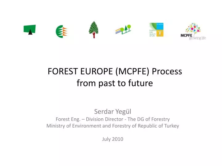 forest europe mcpfe process from past to future