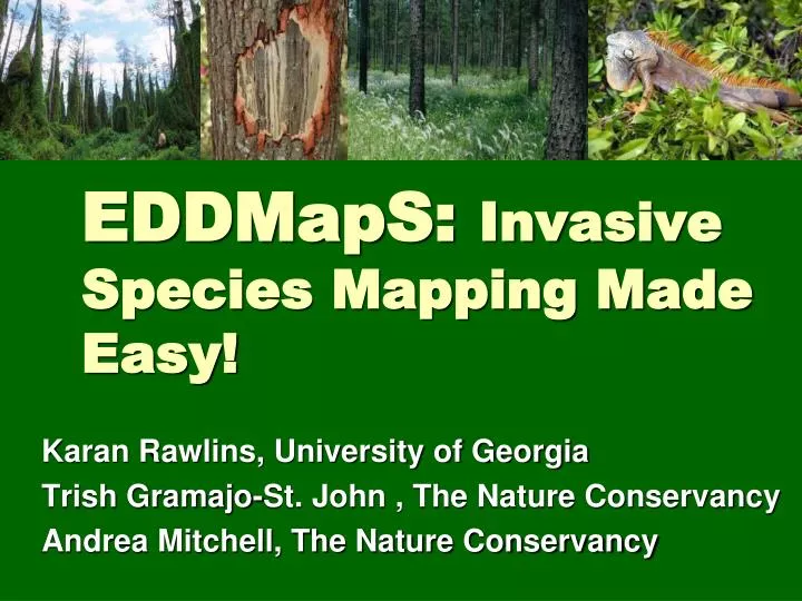 eddmaps invasive species mapping made easy