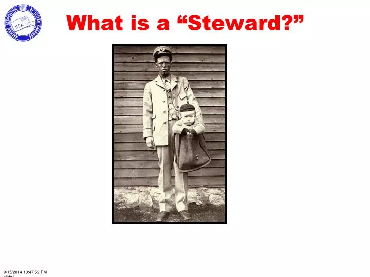 what is a steward