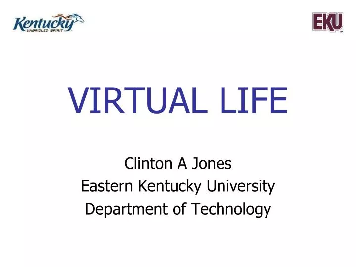 virtual life
