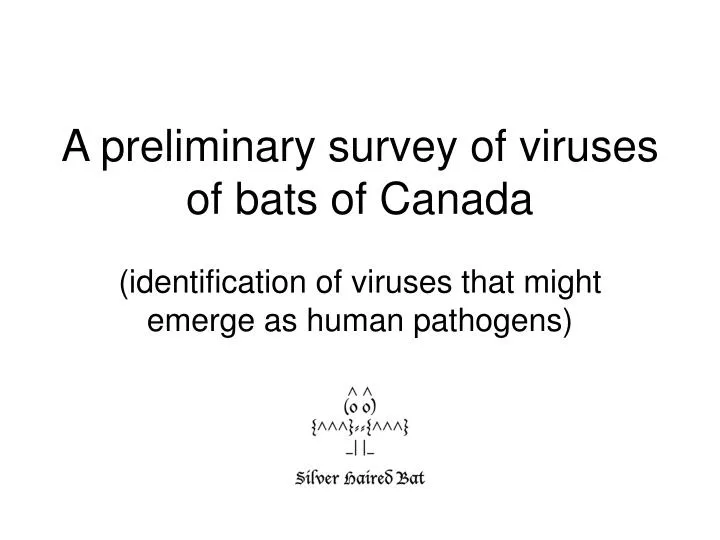 a preliminary survey of viruses of bats of canada