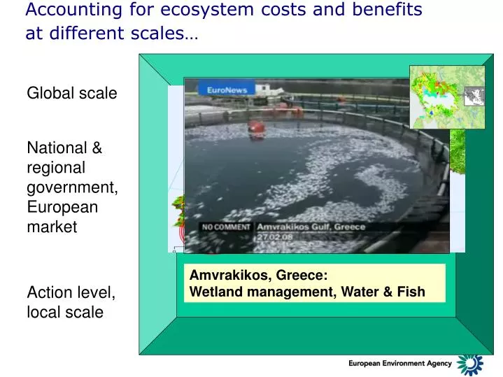 accounting for ecosystem costs and benefits at different scales