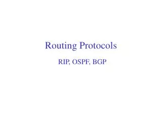 Routing Protocols
