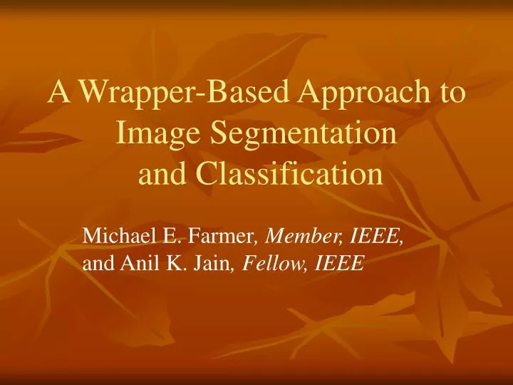 a wrapper based approach to image segmentation and classification