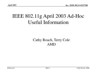 IEEE 802.11g April 2003 Ad-Hoc Useful Information