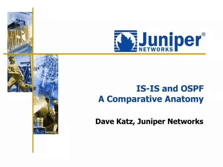 is is and ospf a comparative anatomy