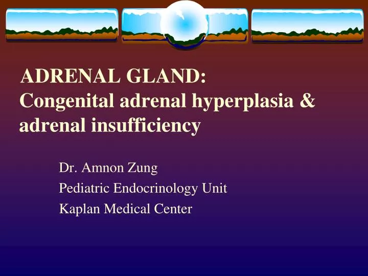 adrenal gland congenital adrenal hyperplasia adrenal insufficiency
