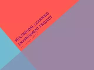 Multimodal Learning Environment Project