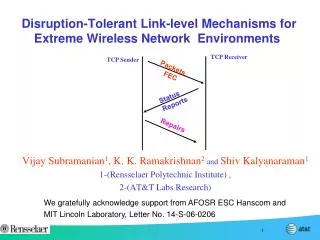 Disruption-Tolerant Link-level Mechanisms for Extreme Wireless Network Environments