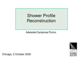 Shower Profile Reconstruction