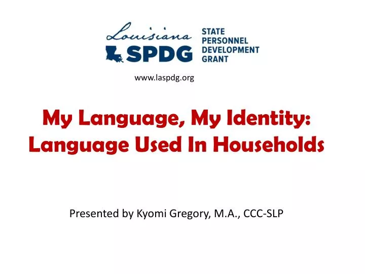 my language my identity language used in households
