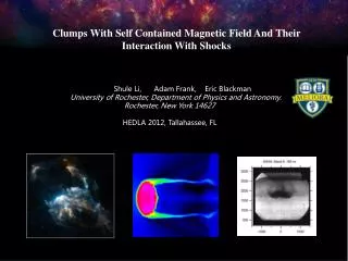 Clumps With Self Contained Magnetic Field And Their Interaction With Shocks