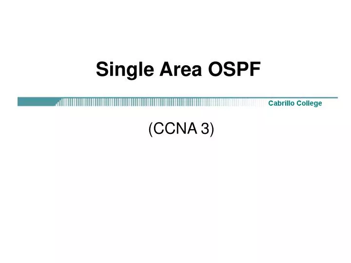 single area ospf