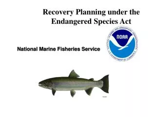 Recovery Planning under the Endangered Species Act