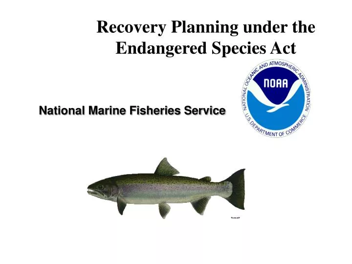 recovery planning under the endangered species act