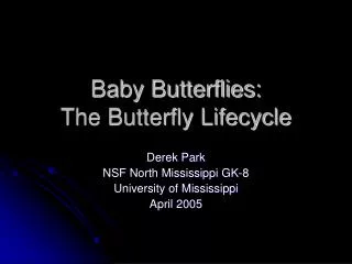 Baby Butterflies: The Butterfly Lifecycle