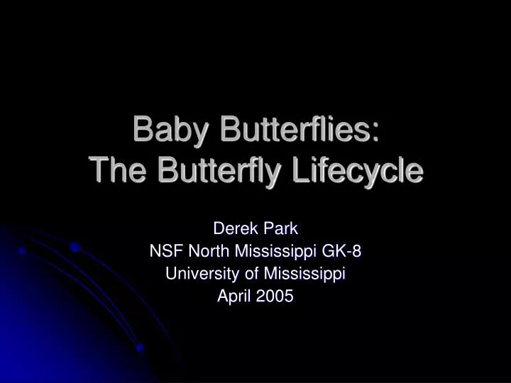 baby butterflies the butterfly lifecycle