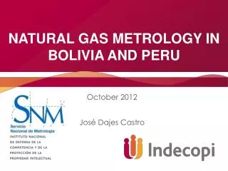 Natural gas metrology in Bolivia and Peru