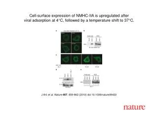 J Arii et al. Nature 467 , 859-862 (2010) doi:10.1038/nature09420