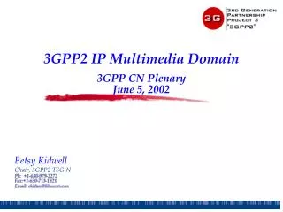 3GPP2 IP Multimedia Domain 3GPP CN Plenary June 5, 2002