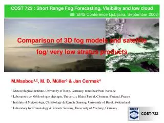 COST 722 : Short Range Fog Forecasting, Visibility and low cloud