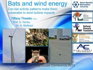 Bats and wind energy Can bat activity patterns make them vulnerable to wind turbine impacts
