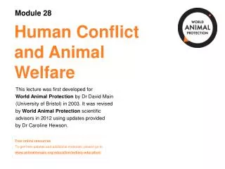 Human Conflict and Animal Welfare
