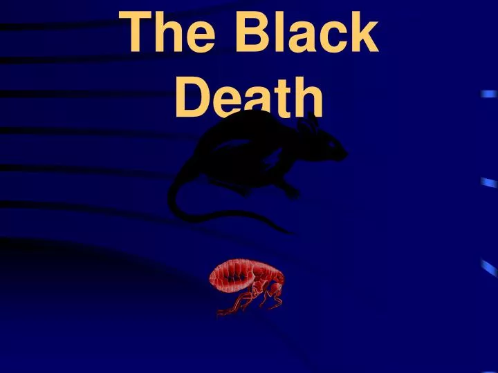 the black death