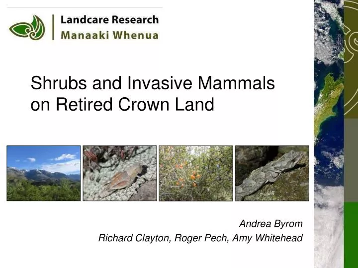 shrubs and invasive mammals on retired crown land