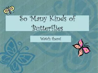 So Many Kinds of Butterflies