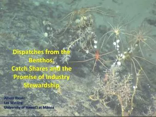 Dispatches from the Benthos: Catch Shares and the Promise of Industry Stewardship