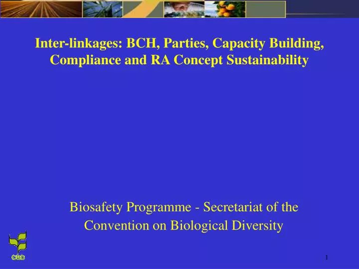 inter linkages bch parties capacity building compliance and ra concept sustainability