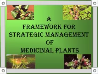 A FRAMEWORK FOR STRATEGIC MANAGEMENT OF MEDICINAL PLANTS