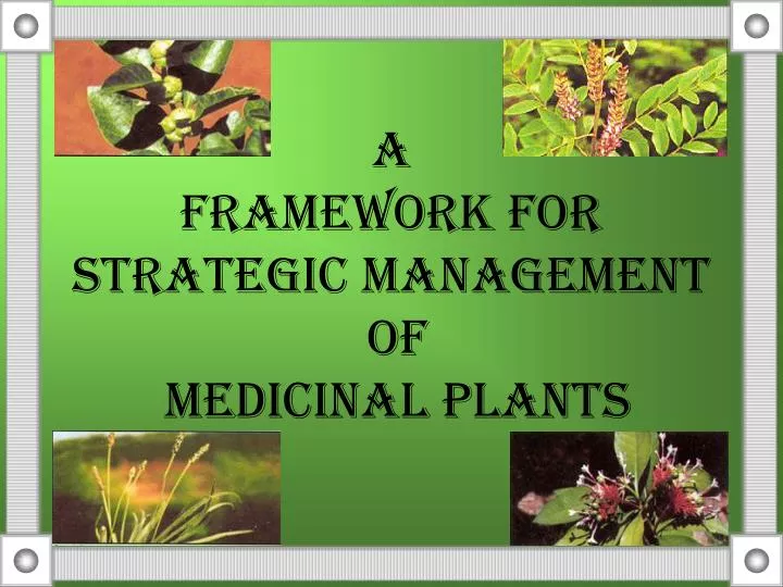 a framework for strategic management of medicinal plants