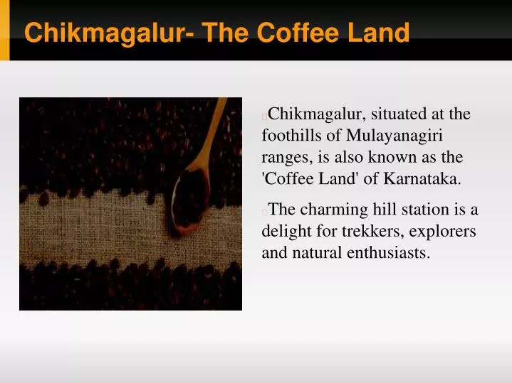 chikmagalur the coffee land