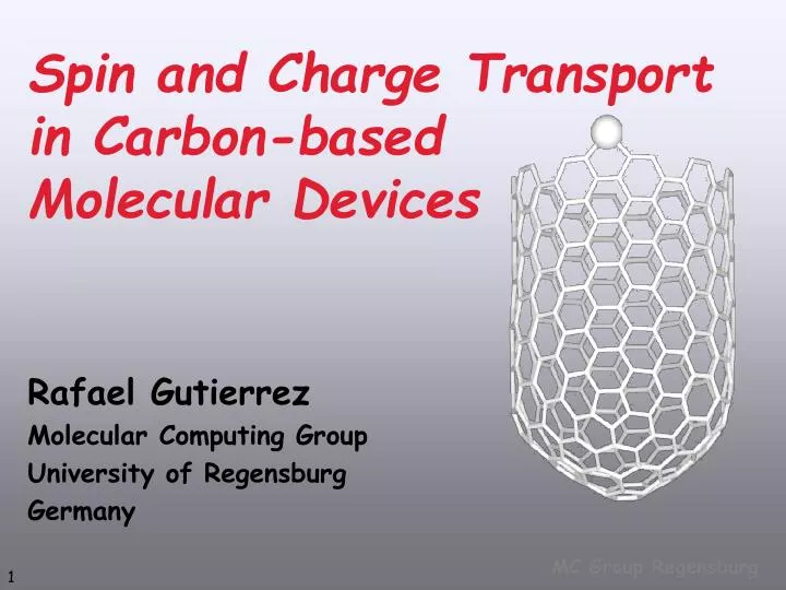spin and charge transport in carbon based molecular devices