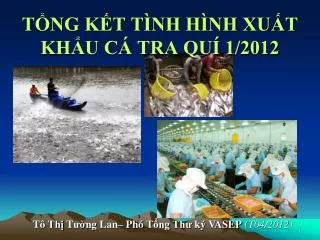 t ng k t t nh h nh xu t kh u c tra qu 1 2012