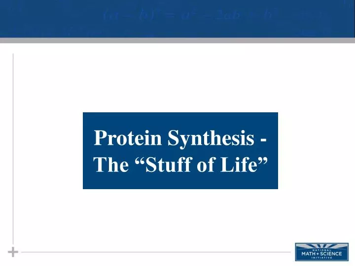 protein synthesis the stuff of life