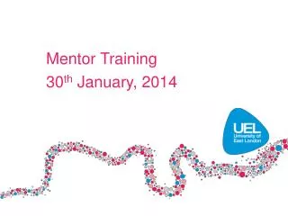 Mentor Training 30 th January, 2014