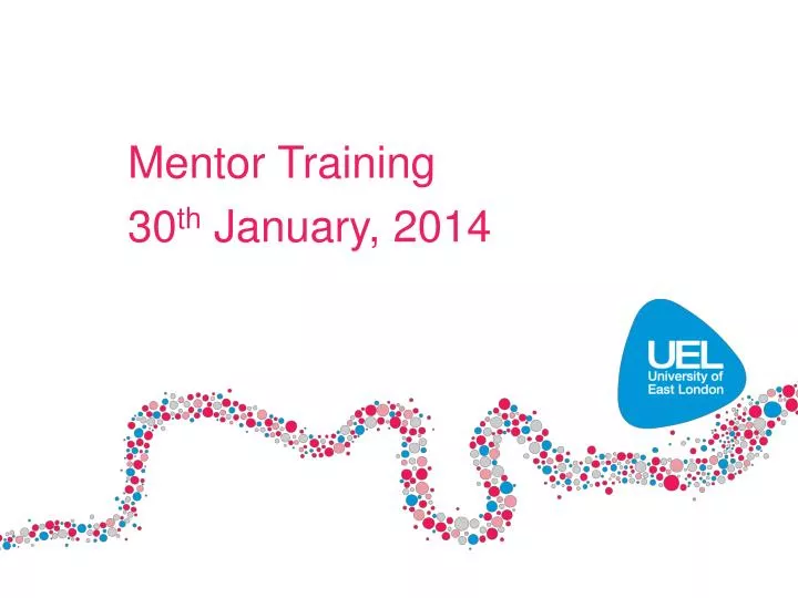 mentor training 30 th january 2014