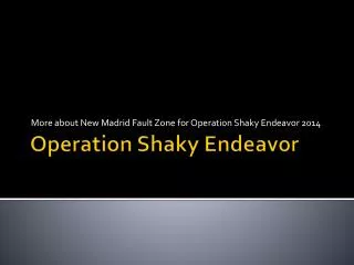 Operation Shaky Endeavor