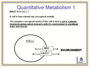 Quantitative Metabolism 1