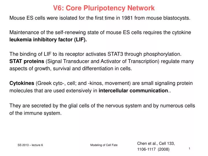 v6 core pluripotency network