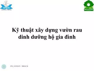 Kỹ thuật xây dựng vườn rau dinh dưỡng hộ gia đình