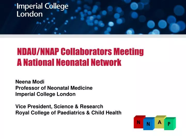 ndau nnap collaborators meeting a national neonatal network