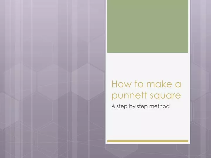 how to make a punnett square