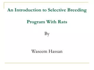 An Introduction to Selective Breeding Program With Rats By Waseem Hassan