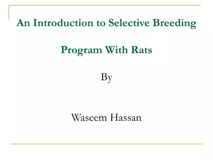 an introduction to selective breeding program with rats by waseem hassan